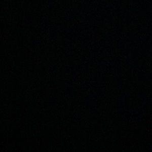 Meet your Posher, Nina